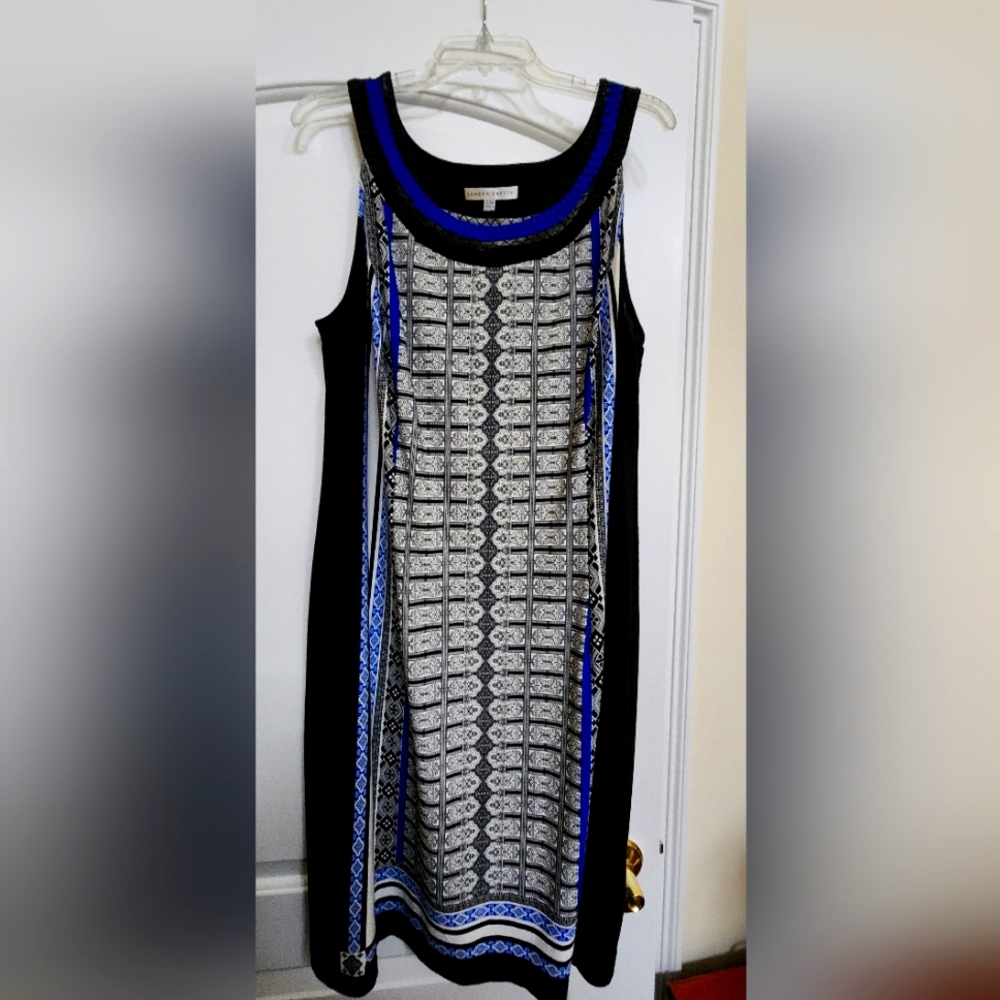 Sleek Sleeveless Dress by Sandra Darrin